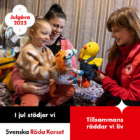 roda-korset-julgava-2025